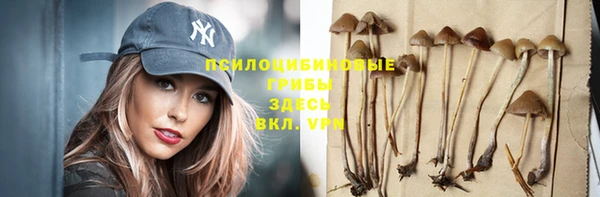 стафф Арсеньев