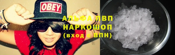стафф Арсеньев