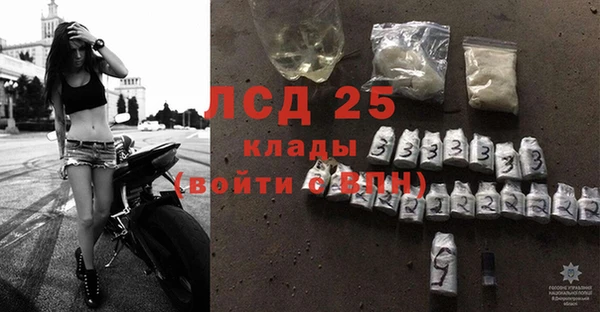 стафф Арсеньев