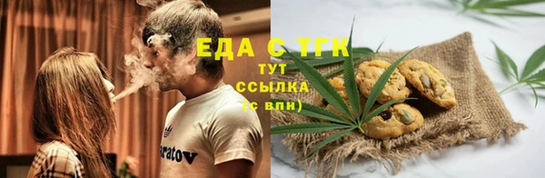 гашик Аркадак