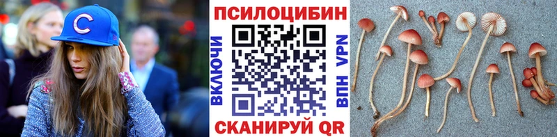 Галлюциногенные грибы Psilocybe  наркотики  ОМГ ОМГ зеркало  Свирск 